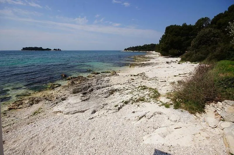Room In Rovinj With Sea View, Balcony, Air Conditioning, W-Lan 81-4 0*,  Croatia