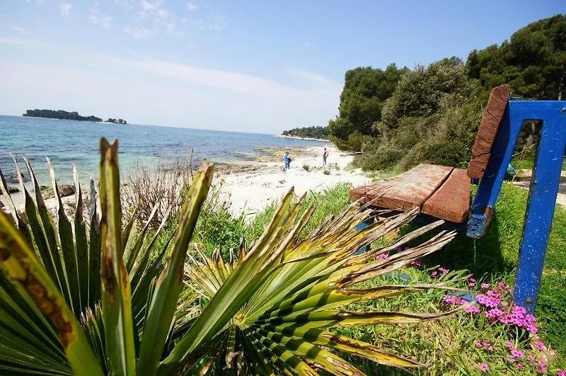 Guest house Room In Rovinj With Sea View, Balcony, Air Conditioning, W-Lan 81-4 Croatia