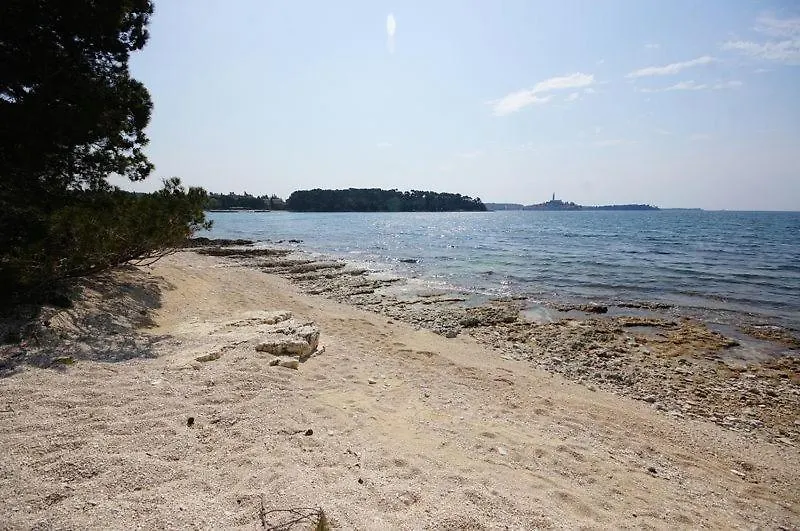 Room In Rovinj With Sea View, Balcony, Air Conditioning, W-Lan 81-4 0*,
