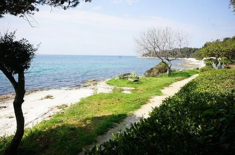 Guest house Room In Rovinj With Sea View, Balcony, Air Conditioning, W-Lan 81-4